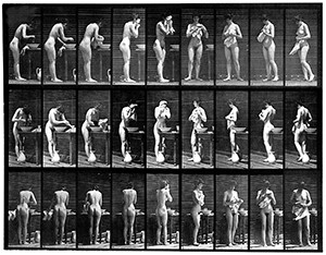 Sequenties. Eadweard Muybridge, Animal Locomotion Plate 412. Boston Public Library.