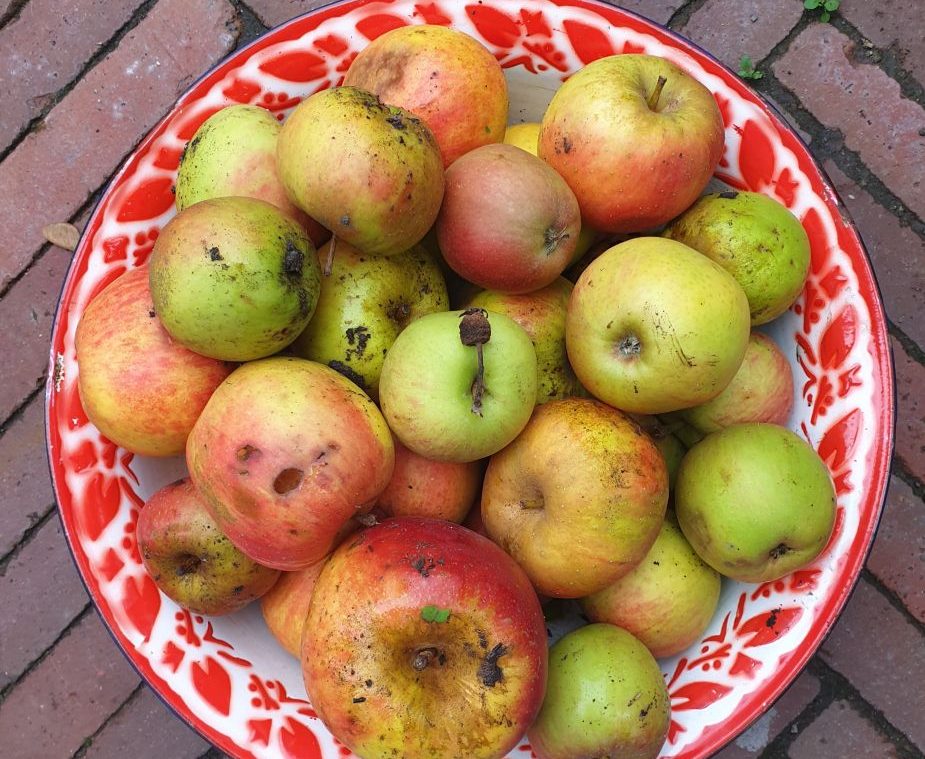 De kuddebewuste vrouw over lekker en gezond – Zout Magazine